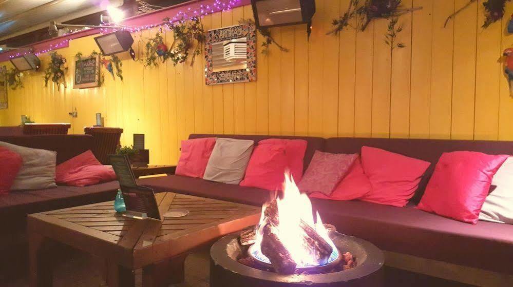 Hotel Dolores Ameland Nes  Esterno foto